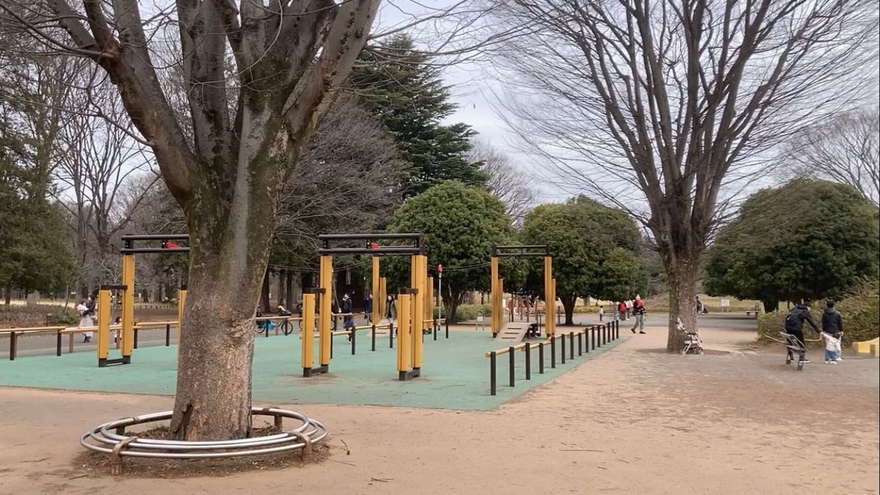 ブログ画像