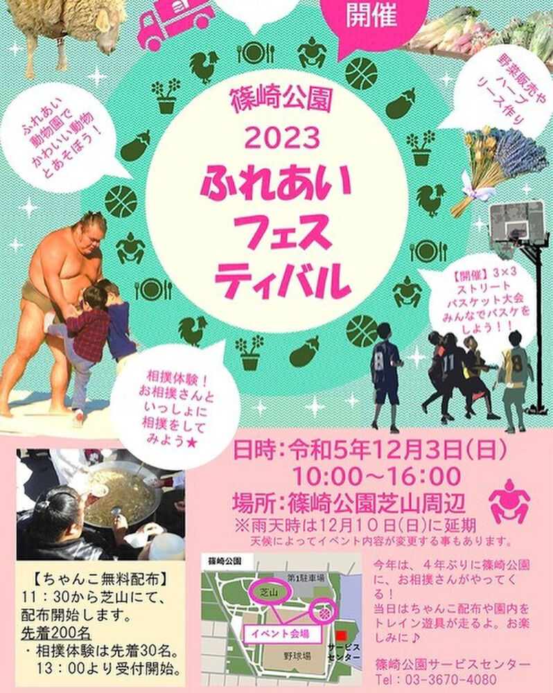 ブログ画像